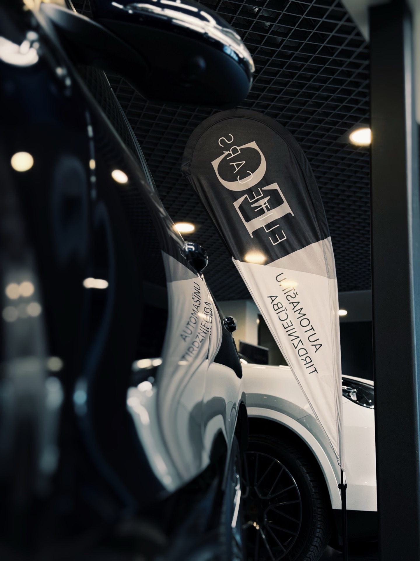 Showroom Fleet